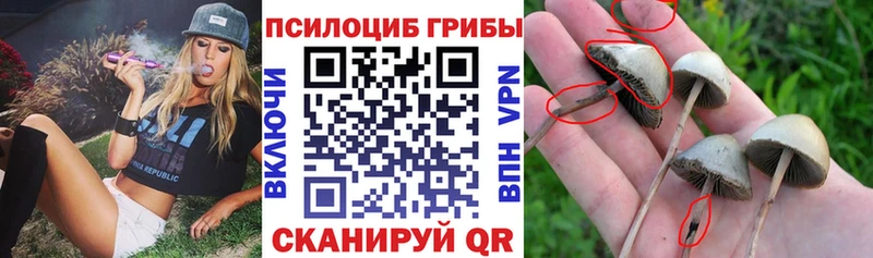 Галлюциногенные грибы мухоморы Сунжа