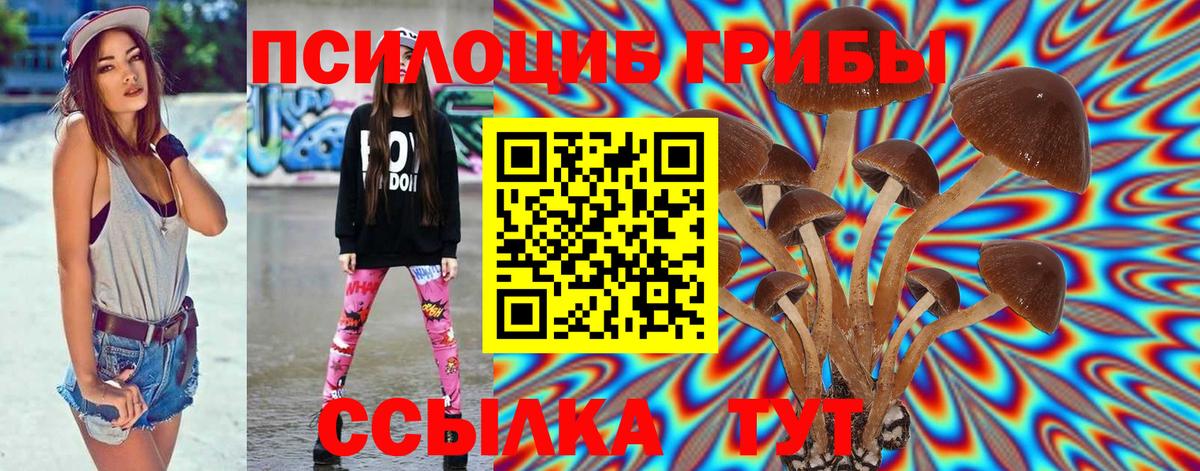 Псилоцибиновые грибы Psilocybe Сунжа