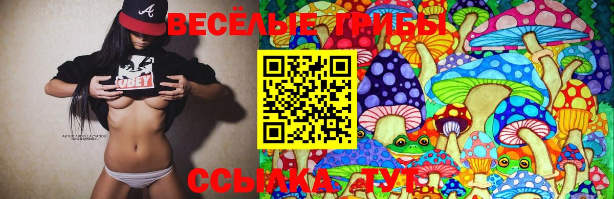 Сунжа  Галлюциногенные грибы Cubensis  Вход с VPN 